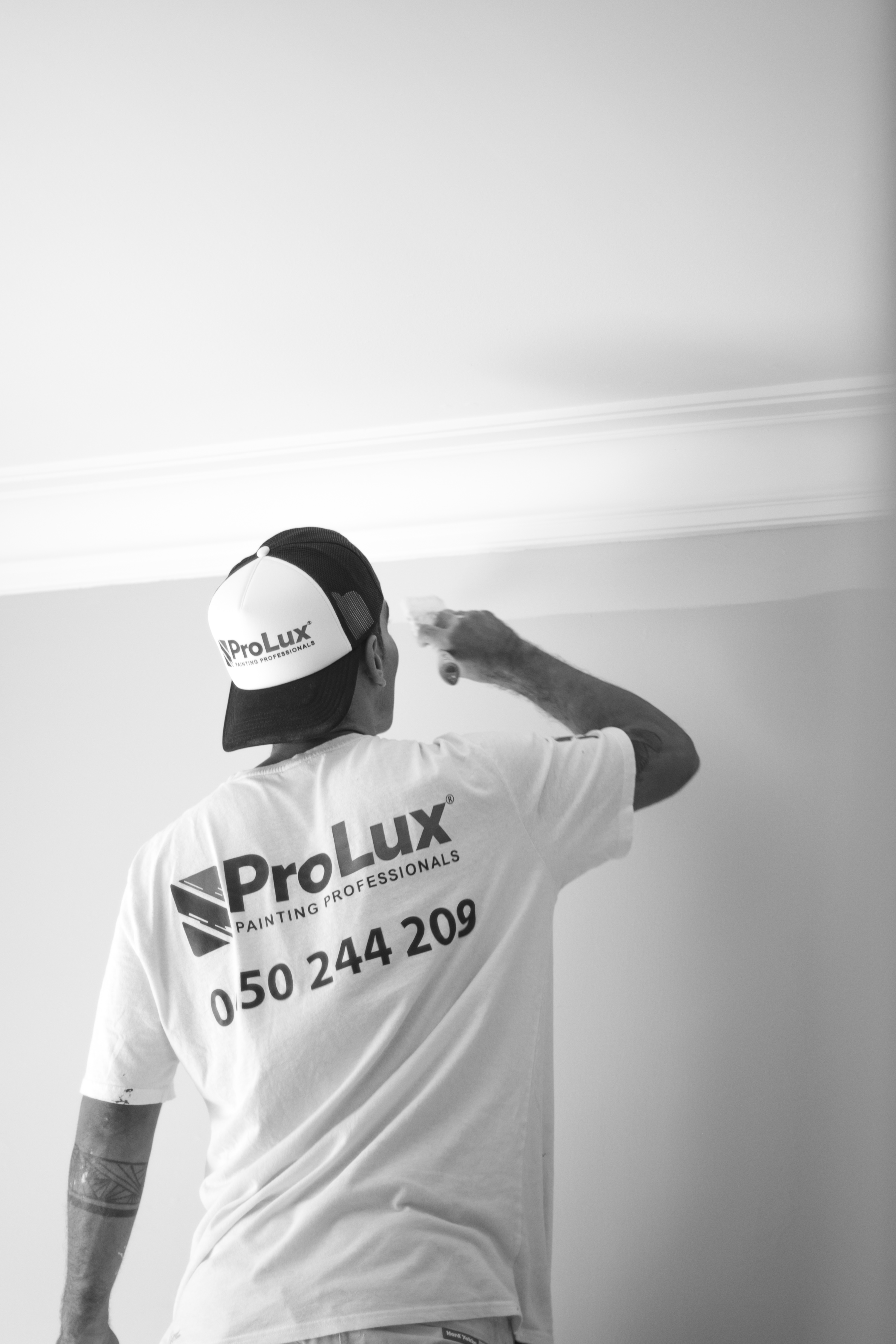 ProLux team working on a tidy, well-managed painting project in Sydney