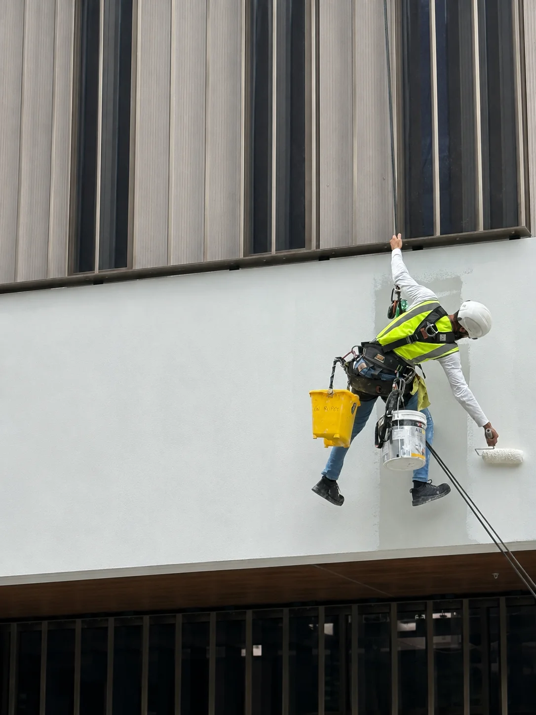 Rope access painter abseiling down a multi-storey Sydney building facade